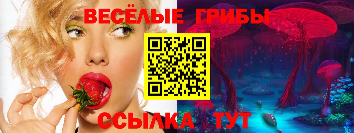 Галлюциногенные грибы GOLDEN TEACHER  Вход с VPN  Кудымкар 